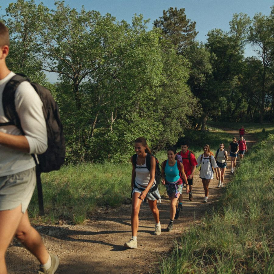 Friends hiking a forest trail